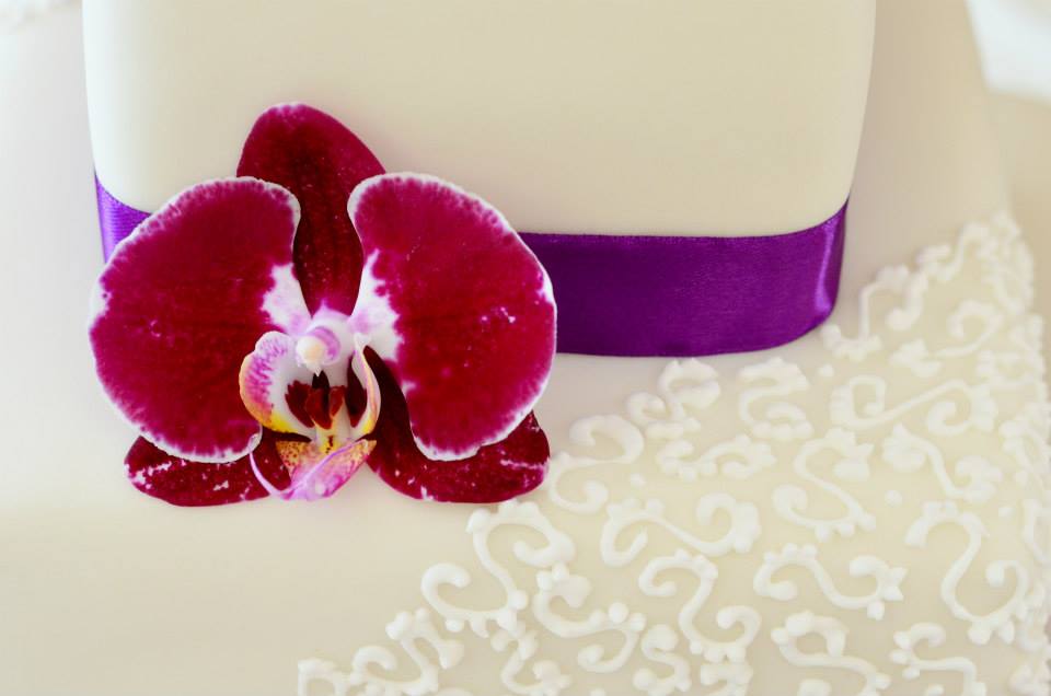 Detail orchidej