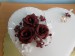 Detail růže bordó